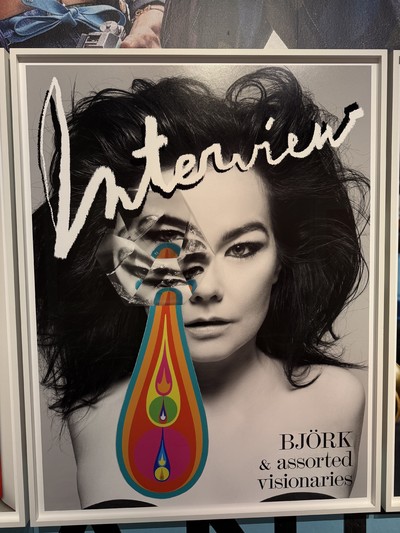 Inez and Vinoodh on the images that define their 40-year partnership - © Installation view, *Bj&ouml;rk*, for *Interview Magazine* with M/M (Paris), 2009. Can Love Be a Photograph: 40 Years of Inez &amp; Vinoodh, Kunstmuseum Den Haag., System Magazine