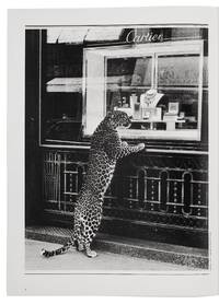 Portfolio. Egoïste - © System Magazine