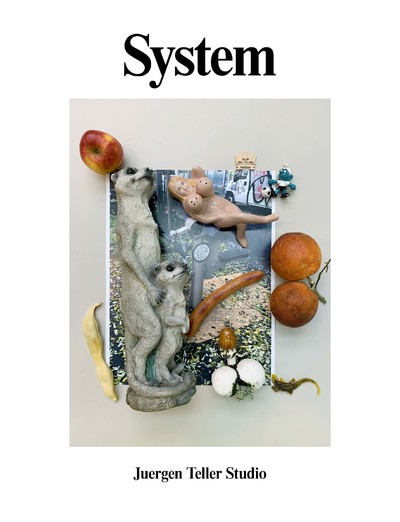 Issue 15 - © System Magazine