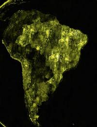 A letter from… São Paolo: Forty million princesses. - © System Magazine