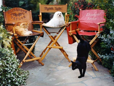 *All-American: Short Stories*
Sugar and friends in Elizabeth’s backyard, Bel Air, California, 2002.
Photo by Bruce Weber - © System Magazine
