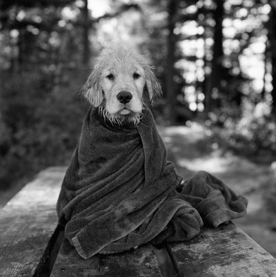 *All-American*
True at Camp Longwood, Adirondack Park, New York, 2001.
Photo by Bruce Weber - © System Magazine