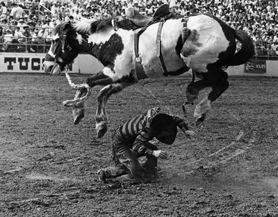 *All-American V: Is Love Enough?*
Kevin Small and Cotton Eye,
Pro Rodeo Cowboys Association, Tucson, Arizona, 1989.
Photo by Louise Serpa - © System Magazine