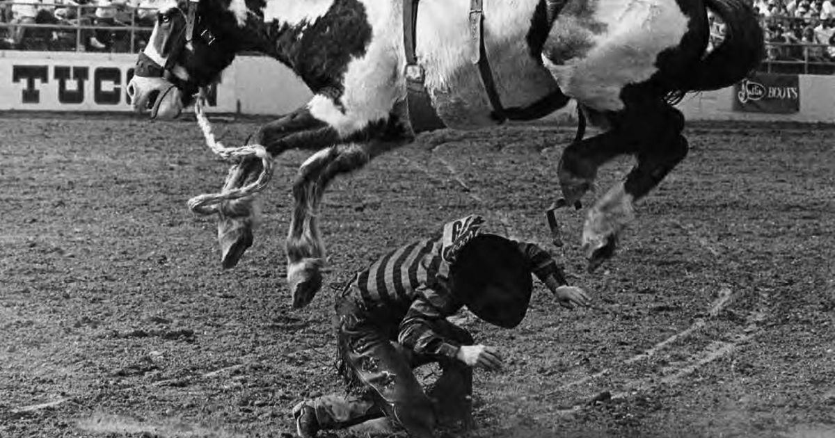 Buy Bruce Weber: Roadside America (Spezial Fotografie; Stern