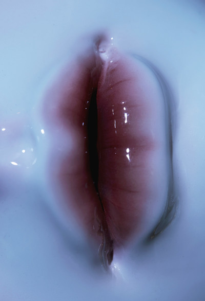 Carlijn Jacobs. - © ***Lips***
Paris, 2021., System Magazine