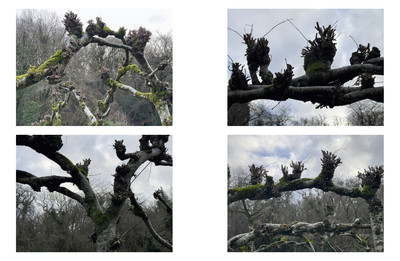 In the words of… Amanda Harlech - © System Magazine