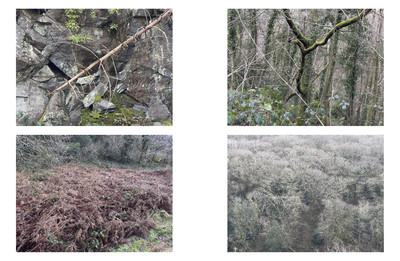 In the words of… Amanda Harlech - © System Magazine