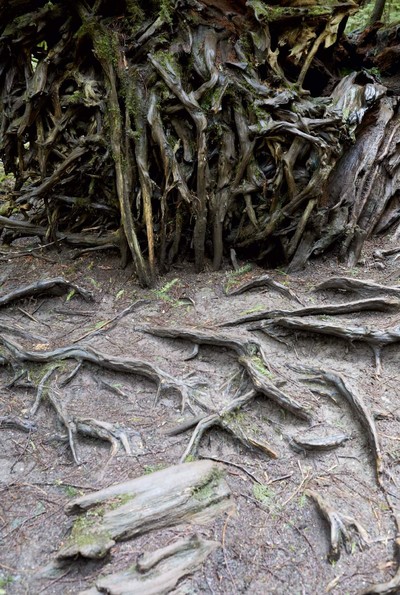 Marley Natural. Juergen Teller. - © System Magazine