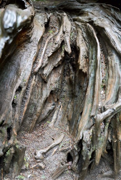 Marley Natural. Juergen Teller. - © System Magazine