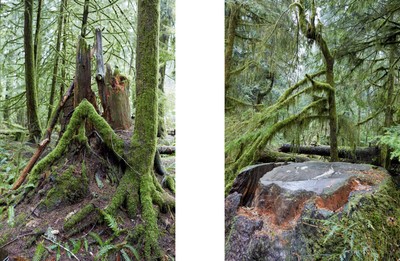 Marley Natural. Juergen Teller. - © System Magazine