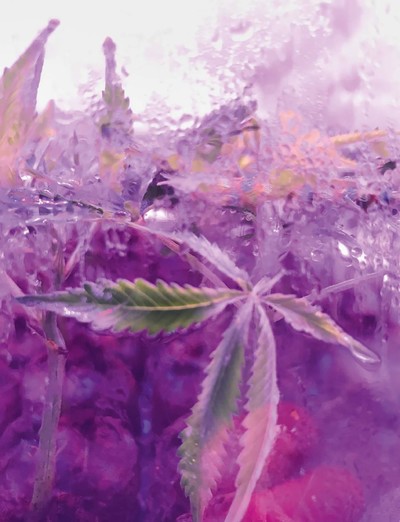 Marley Natural. Juergen Teller. - © System Magazine