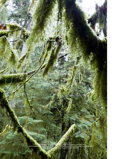 Marley Natural. Juergen Teller. - © System Magazine