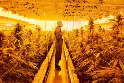 Marley Natural. Juergen Teller. - © System Magazine